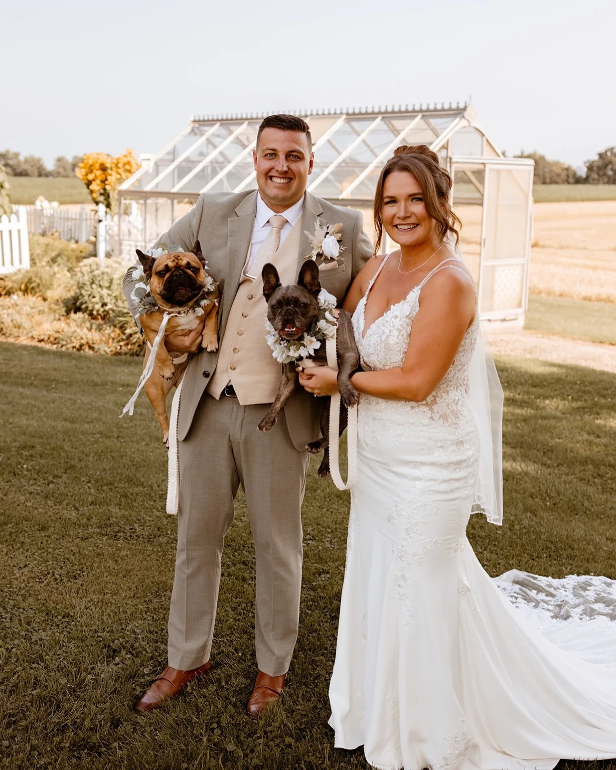 Dog Wedding Ideas