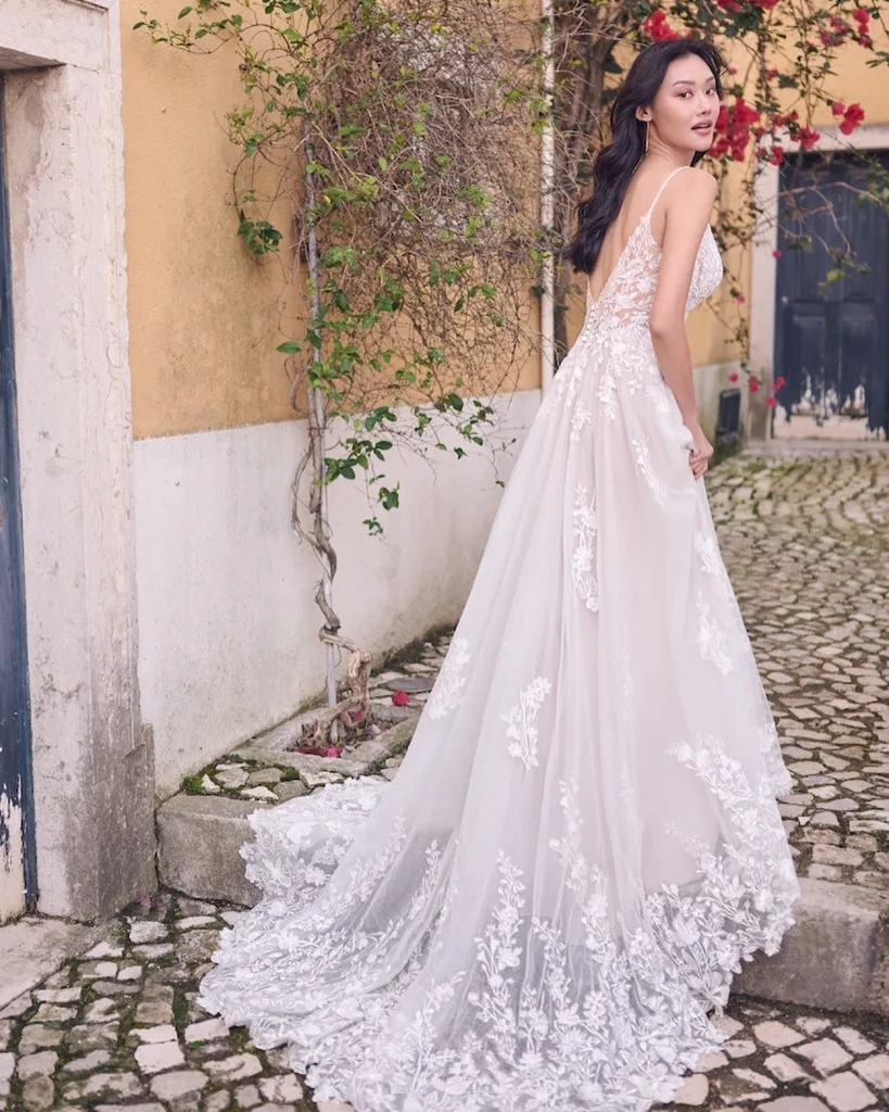 Sheer Illusion Lace Back Dress